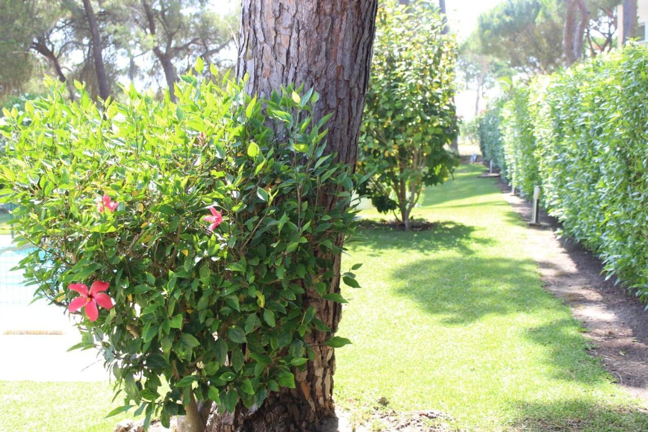 The Pinewood Villa 维拉摩拉 外观 照片